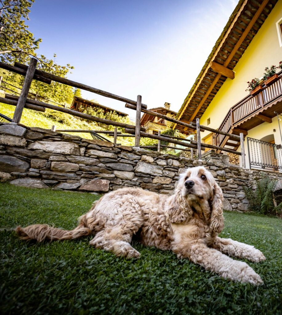 appartamenti a rhemes